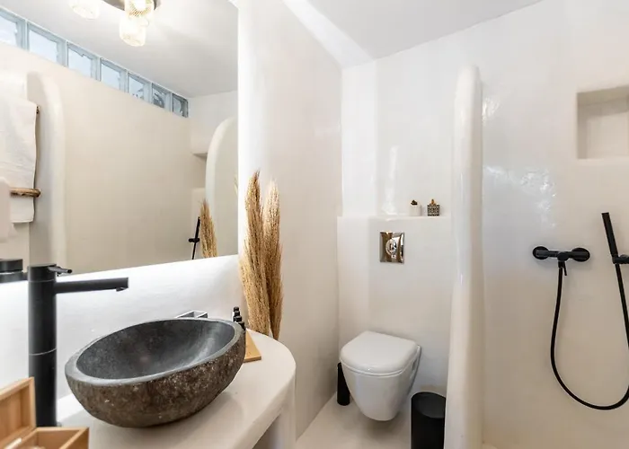 The Locals 公寓 Kato Potamia (Naxos)